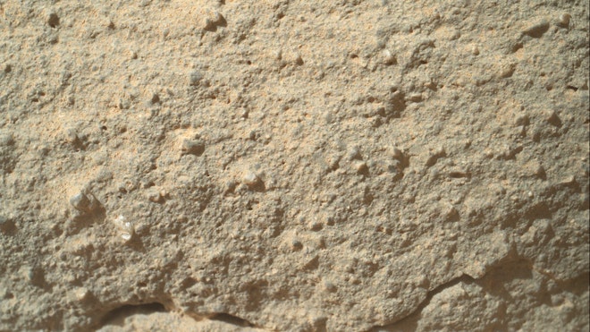 mars flower curiosity full.jpg